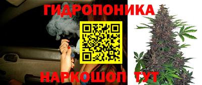 молекула духа Заводоуковск