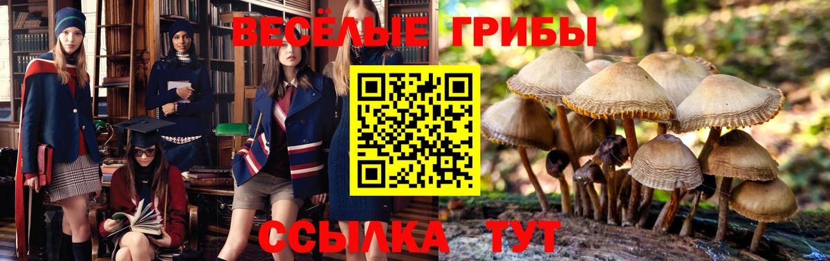 Лиски  Галлюциногенные грибы мухоморы  Вход с VPN  Псилоцибиновые грибы Psilocybine cubensis 